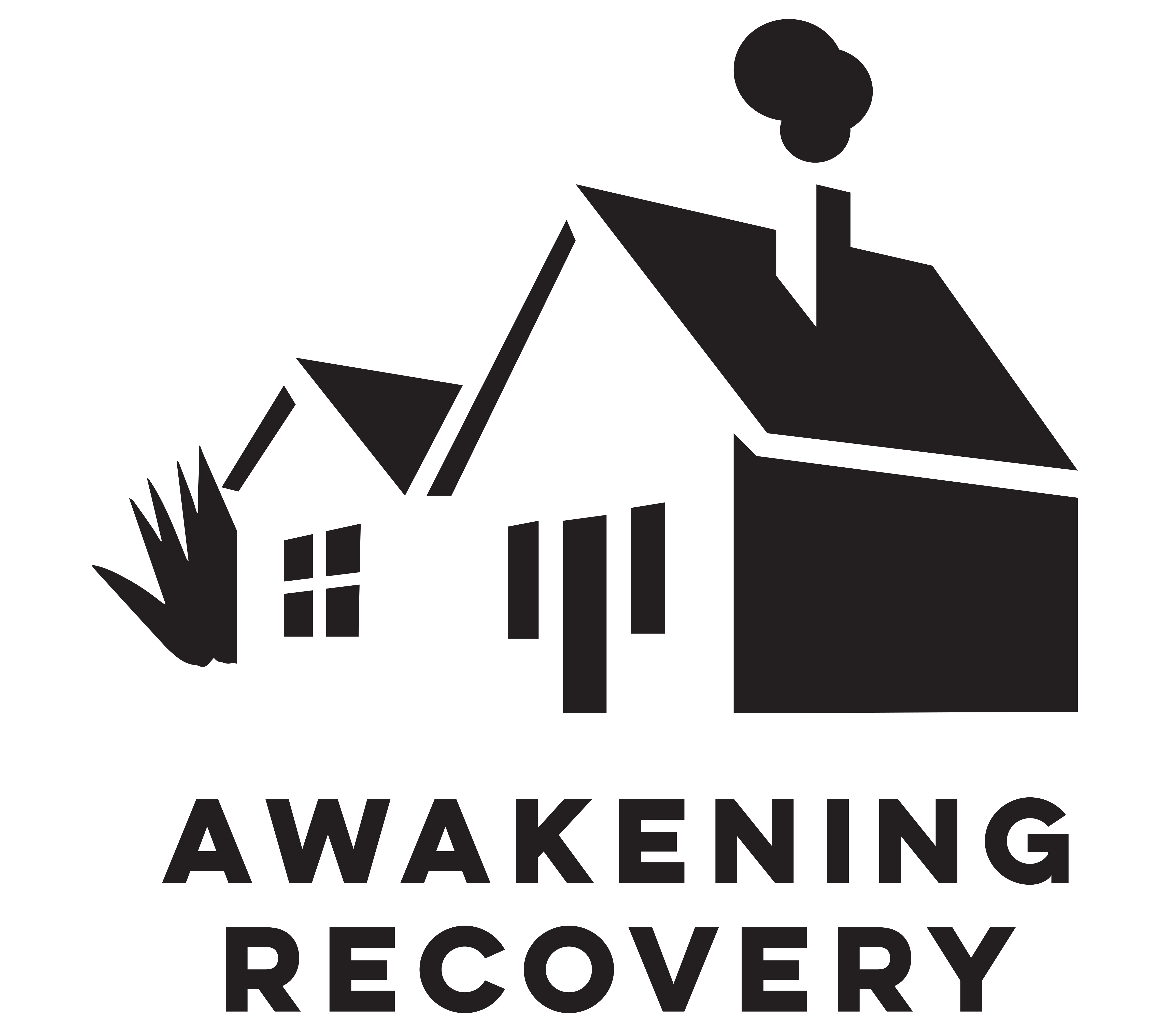 Awakening Recovery